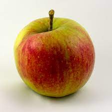 Jonagold Äpfel süßlich 5 kg