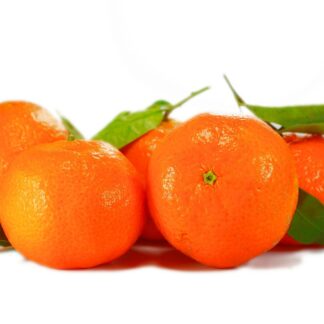 Clementinen frisch 5 kg
