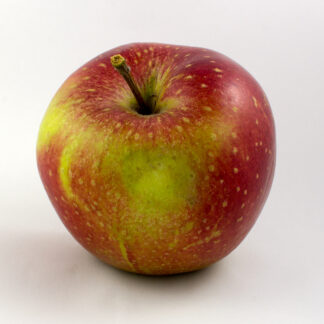 Wellant Äpfel frisch 5 kg