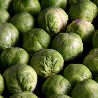 Rosenkohl frisch 5 kg