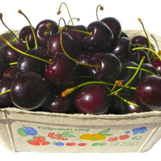Kirschen Dick frisch + süß 1 kg Schale