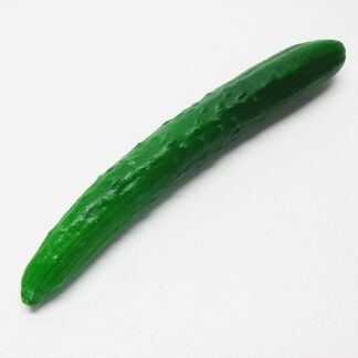 Bio Gurken frisch 1 Stück