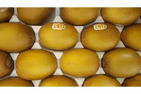 Kiwi Gold frisch 3 kg Karton