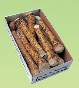 Meerrettich Stangen 3 kg