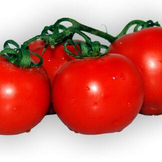Strauchtomaten frisch 1 kg