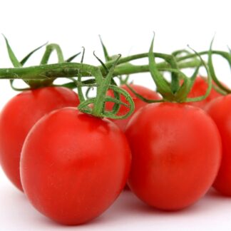 Eiertomaten frisch 500 g Schale