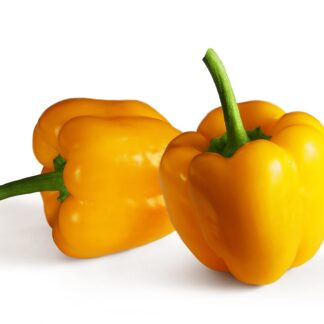 Paprika gelb frisch 5 kg