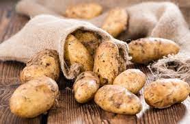 Speisekartoffeln vorwiegend festkochend 4 kg Netz Neue Ernte 2023