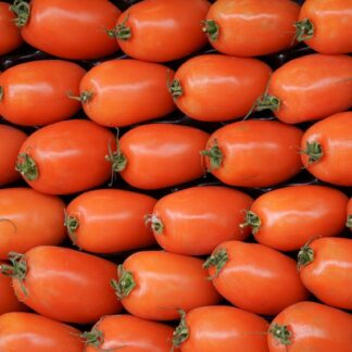 Marzano Tomaten frisch 1 kg Schale