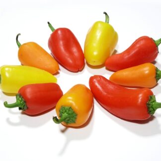 Snackpaprika bunt frisch 300 g